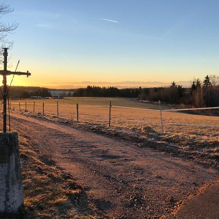 Pfaffensteghof Apartman Rickenbach  Kültér fotó