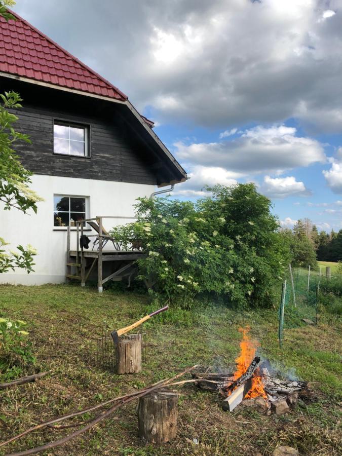 Pfaffensteghof Apartman Rickenbach  Kültér fotó