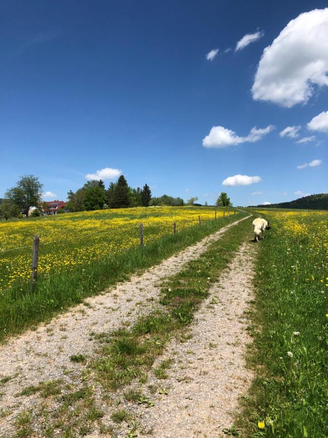 Pfaffensteghof Apartman Rickenbach  Kültér fotó