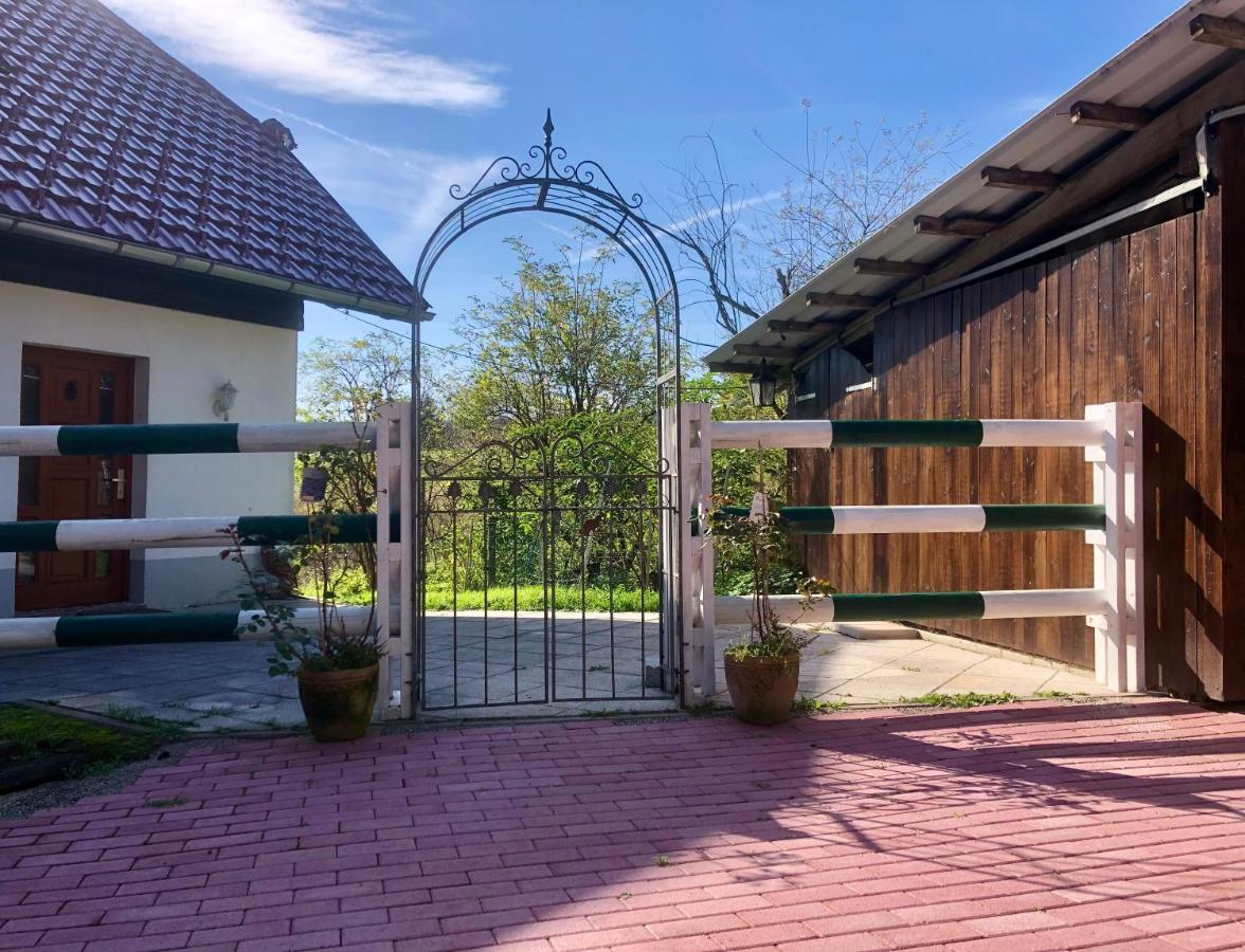 Pfaffensteghof Apartman Rickenbach  Kültér fotó